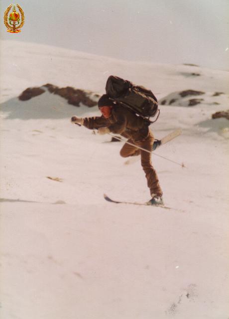 Fase de Nieve001.jpg